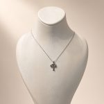 bijuteri kolye 35₺ (116)