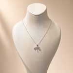 bijuteri kolye 35₺ (122)