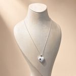 bijuteri kolye 35₺ (153)