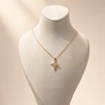 bijuteri kolye 35₺ (154)
