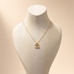 bijuteri kolye 35₺ (160)