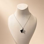 bijuteri kolye 35₺ (162)