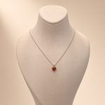 bijuteri kolye 40₺ (27)